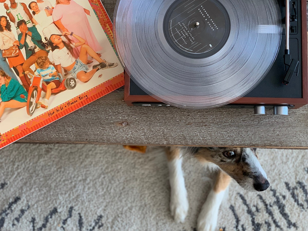 Vinyl Records Value Guide | Victrola