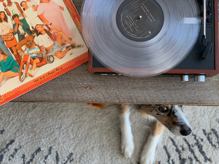 Vinyl Records Value Guide | Victrola