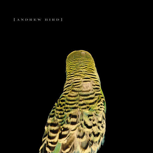 Andrew Bird: Armchair Apocrypha