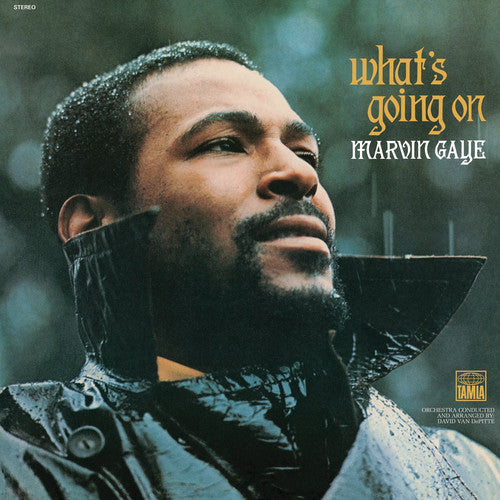 Marvin Gaye: What's Going on