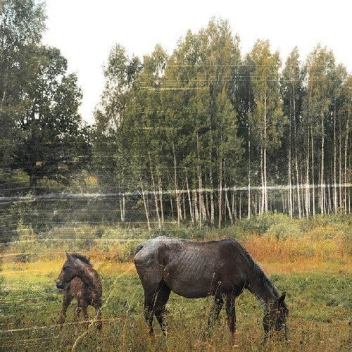 Pianos Become the Teeth: Old Pride