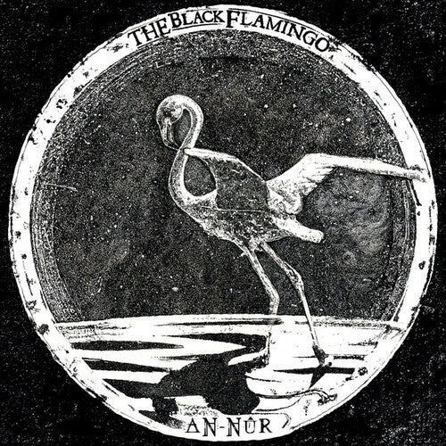 Black Flamingo: An-Nur