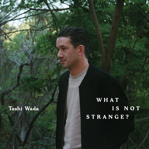 Tashi Wada: What Is Not Strange?