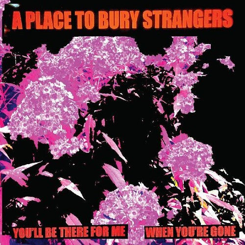 Place to Bury Strangers: You'll Be There For Me / When You're Gone