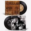 Everlast: What It's Like/Ends