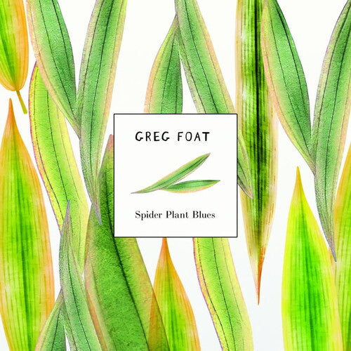 Greg Foat: Spider Plant Blues