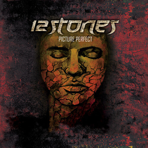 12 Stones: Picture Perfect