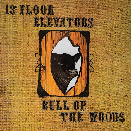 The 13th Floor Elevators: Bull Of The Woods