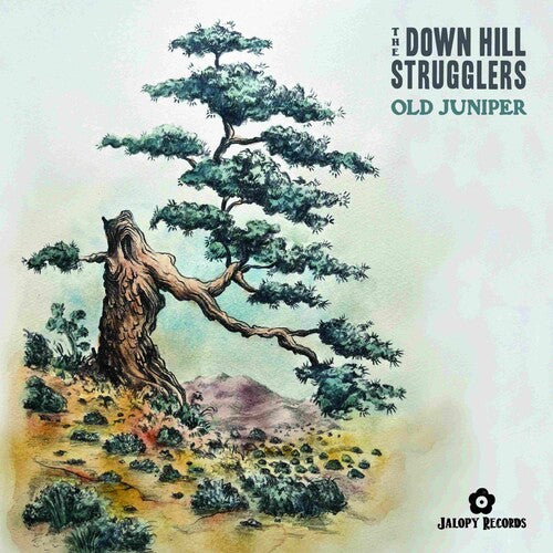 The Down Hill Strugglers: Old Juniper