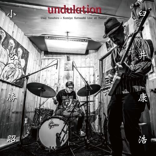 Yasuhiro Usui: undulation