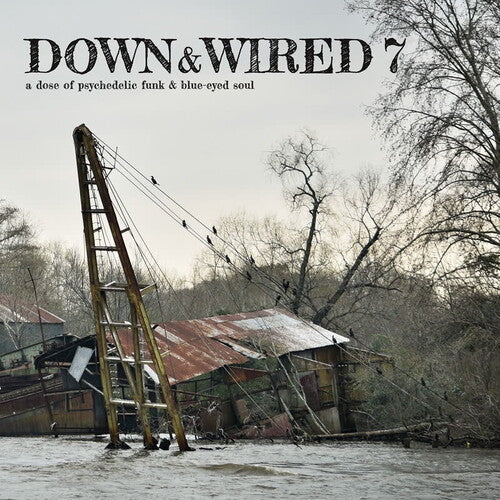 Various Artists: Down & Wired 7 (Various Aritst)