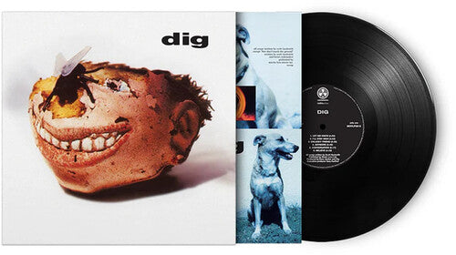 Directions in Groove: Dig - 180-Gram Black Vinyl