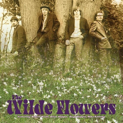 The Wilde Flowers: The Wilde Flowers