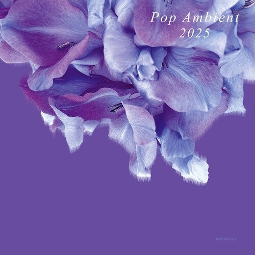 Various Artists: Pop Ambient 2025