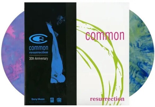 The Common: Resurrection