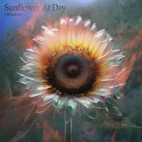 J Wiltshire: Sunflower At Day