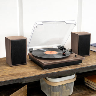 The Montauk Turntable System Image 2