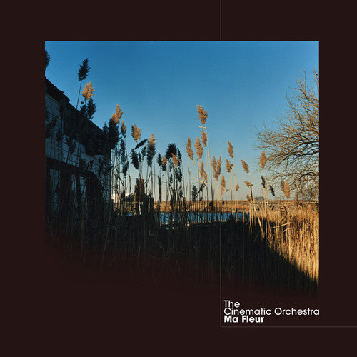 The Cinematic Orchestra: Ma Fleur