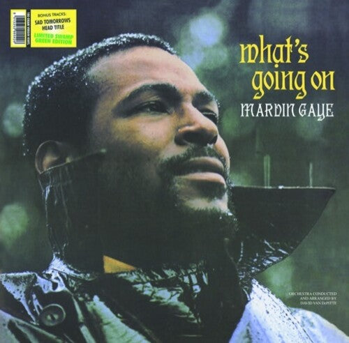 Marvin Gaye: What's Going on