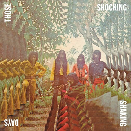 Various Artists: Those Shocking Shaking Days