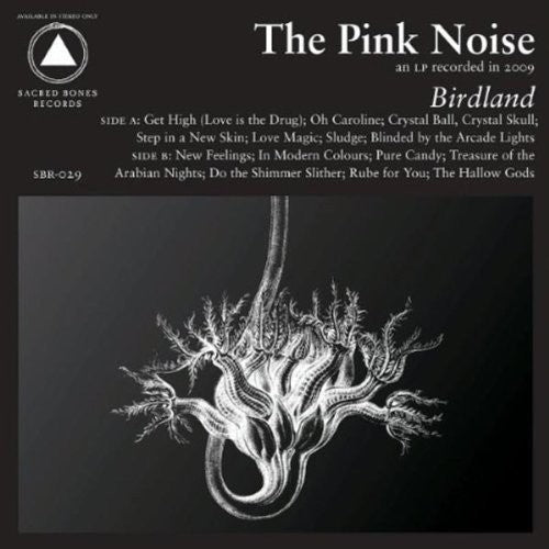 The Pink Noise: Birdland