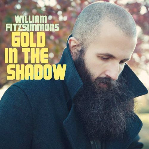 William Fitzsimmons: Gold in the Shadow