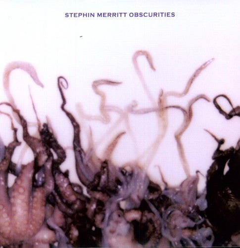 Stephin Merritt: Obscurities