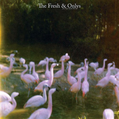 The Fresh & Onlys: August in My Mind