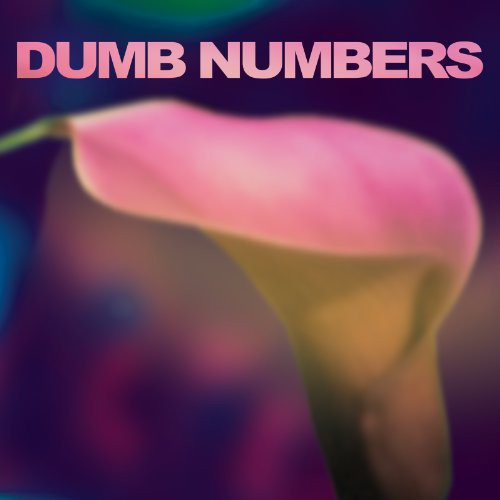 Dumb Numbers: Dumb Numbers