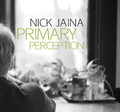 Nick Jaina: Primary Perception