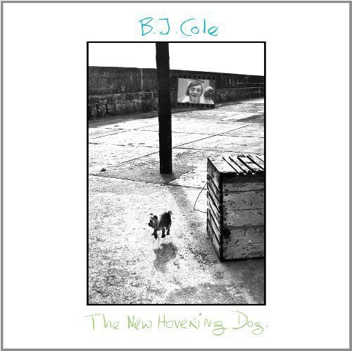 B.J. Cole: New Hovering Dog
