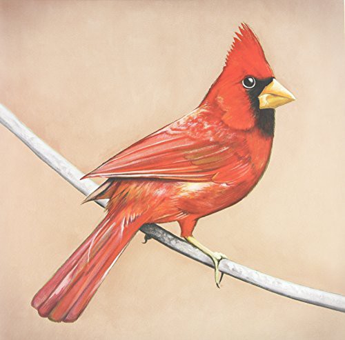 Alexisonfire: Old Crows / Young Cardinals