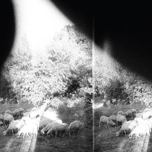 Godspeed You! Black Emperor: Asunder Sweet & Other Distress