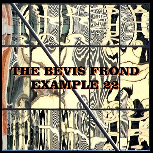 The Bevis Frond: Example 22