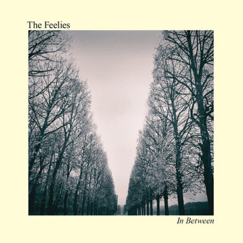 The Feelies: In Between