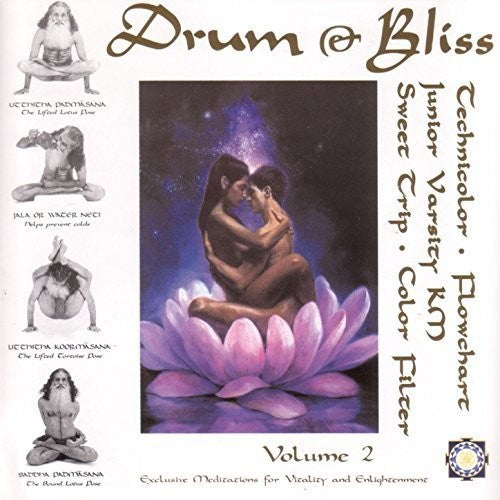 Various Artists: Drum & Bliss 2 (Various Artists)