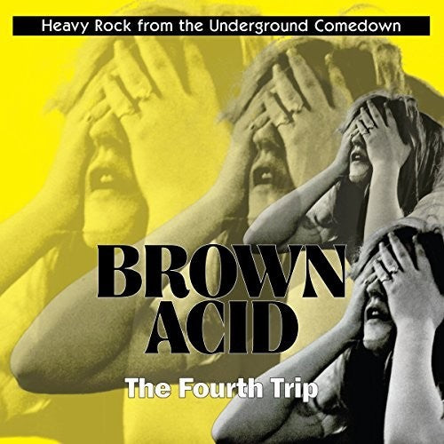 Various Artists: Brown Acid: Fourth Trip (Various Artists)