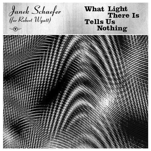 Janek Schaefer: What Light There Is Tells Us Nothing