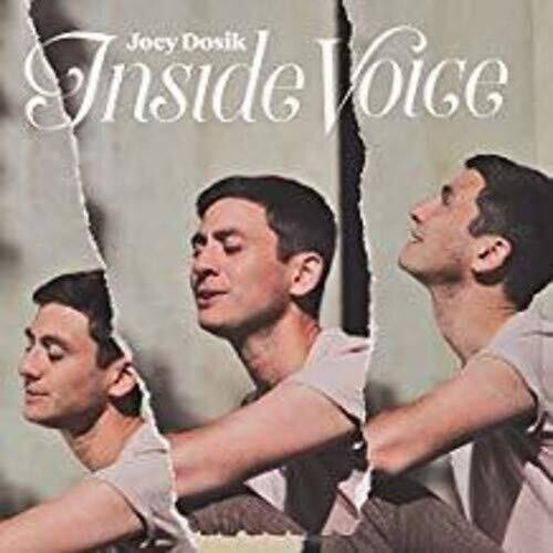 Joey Dosik: INSIDE VOICE