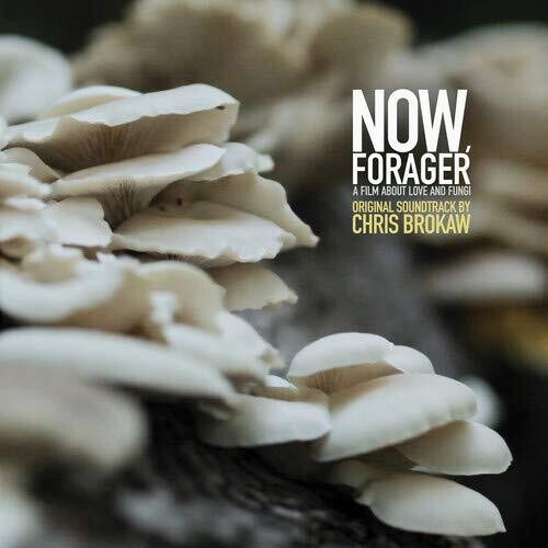 Chris Brokaw: Now Forager (Original Soundtrack)