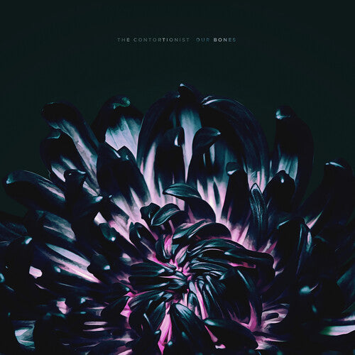 The Contortionist: Our Bones