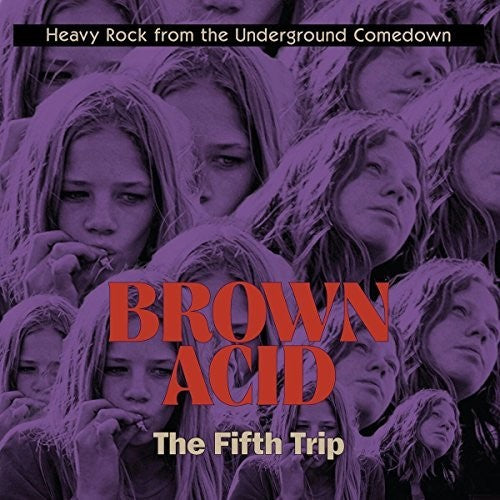 Various Artists: Brown Acid - The Fifth Trip (Various Artists)