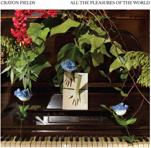 The Crayon Fields: All the Pleasures Of the World (Deluxe Edition) (Color Vinyl)
