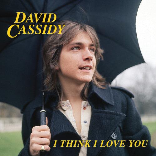 David Cassidy: I Think I Love You