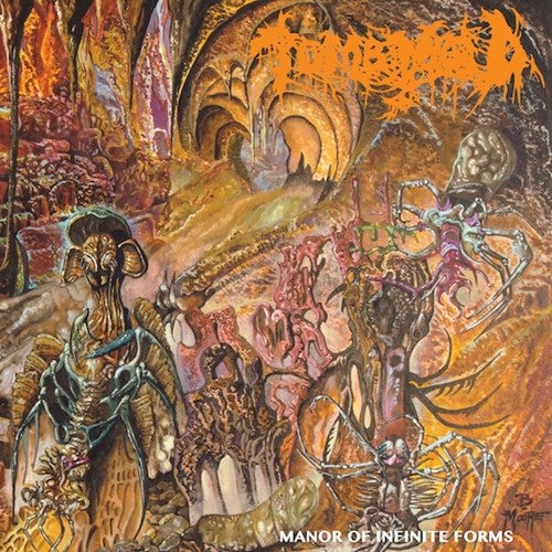 Tomb Mold: Manor Of Infinite Forms