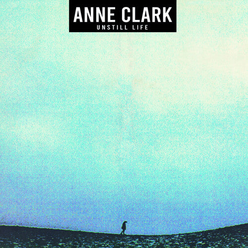 Anne Clark: Unstill Life