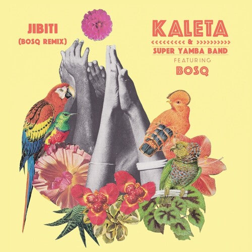 Kaleta & Super Yamba Band: Jibiti (Bosq Remix)