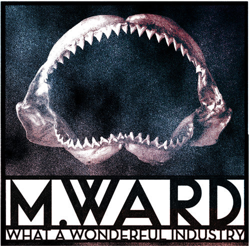 M. Ward: What a Wonderful Industry