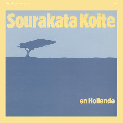 Sourakata Koite: En Hollande