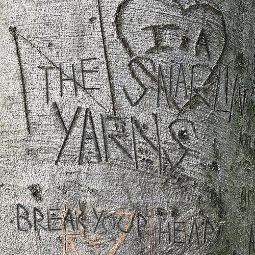 Snarlin' Yarns: Break Your Heart